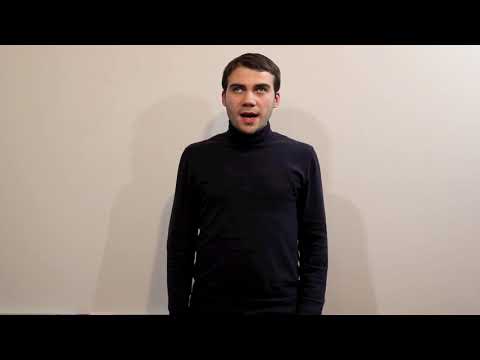 ინკლუზია - დავით ბიბილეიშვილი