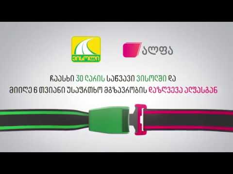 სადაზღვევო კომპანია ალფა - Insurance Company Alpha