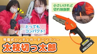 【超コンパクトサイズ】充電式ハンディガーデニングソー太枝切っ太郎【紹介＆試してみた】