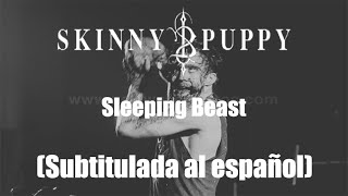 Skinny Puppy - Sleeping Beast - TRADUCIDA -