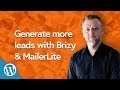 How to Collect Leads With Brizy & MailerLite | WORDPRESS