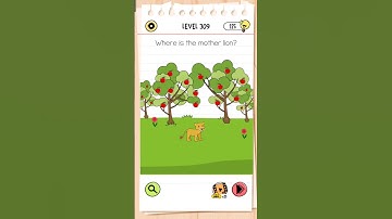 Brain test All-Star -level 309