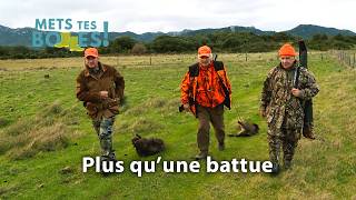 Corse : la chasse du sanglier, une tradition du maquis