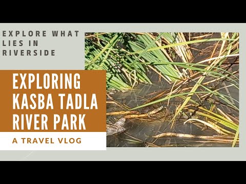 Exploring Kasba Tadla River Park-What lives in the Riverside