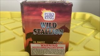 Wild Stallion By Pyro King Fireworks + Testing New GoPro Hero7 Black