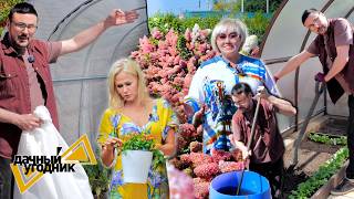 Ура, высаживаю рассаду перцев и томатов / экскурсия по участку