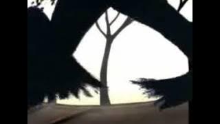 A Mild - Bird Tree