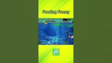 Game house Feeding Frenzy #gamejadul #short #nostalgia