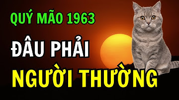 Quý Mão 1963 – Gánh Nghiệp Cả Đời, Nhưng Hậu Vận Bừng Sáng Khi Hiểu 7 Bí Mật Này