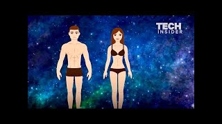 What humans will look like in 1,000 years