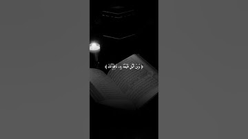 اكتب شيء تؤجر عليه 😴💚 قران كريم | فارس عباد