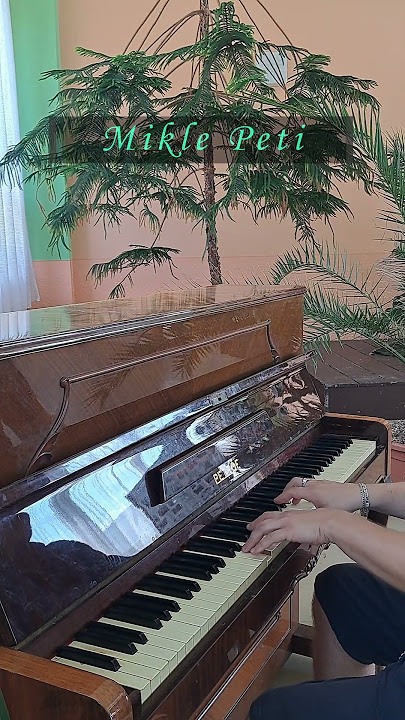 Mikle Peti Live Music - Donauwellen (Live)