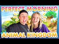 The secret to the best morning ever in disneys animal kingdom