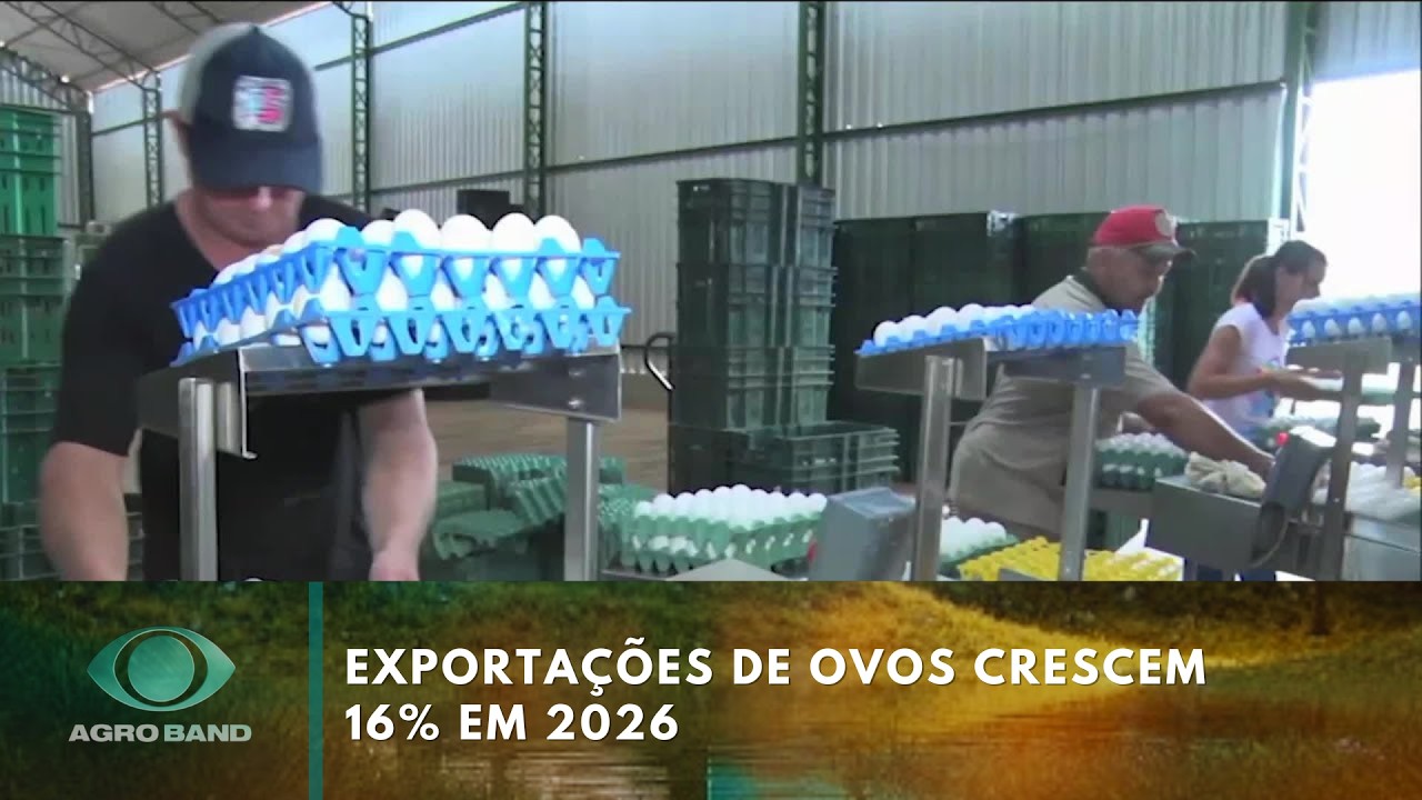 Giro Brasil: exportações de ovos crescem 16% em 2026 | Agro Band