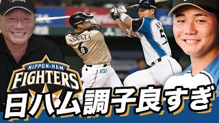 【調子が良すぎ‼︎】日本ハムファイターズが絶好調について語る！