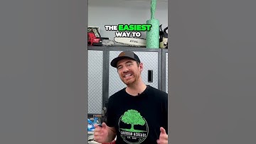 Upgrade Your Headlight Bulbs Projector vs Reflector Style Explained