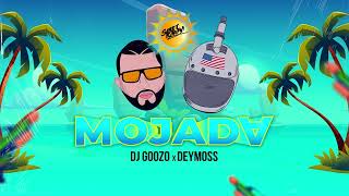 Coisa Linda (DJ Goozo Guaracha Mix) 