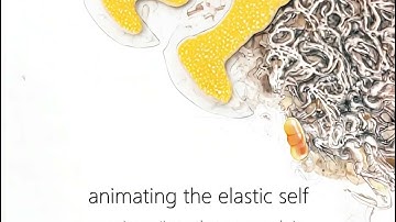 Alex Boya – Genomic Animation Research | National Film Board of Canada | Immersive Turbine Studies