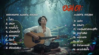 รวมเพลง Cover Acoustic | ลูกกรุงอมตะ ฟังยาวไม่มีเบื่อ เพราะทุกเพลง