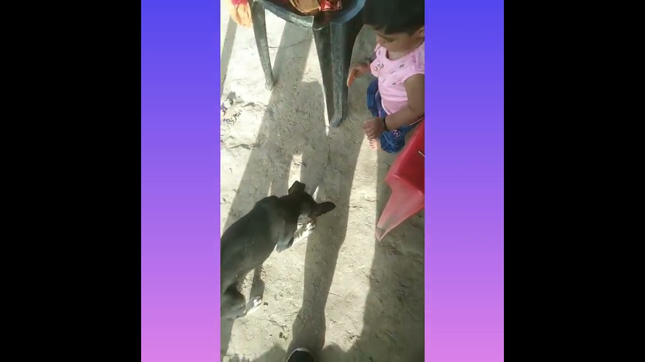 Kavya Charitable Trust Ghaziabad. Free Food. Free Education.Free Business Idea Seminar