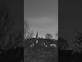Small Lights – Channeling witches in the German forest
