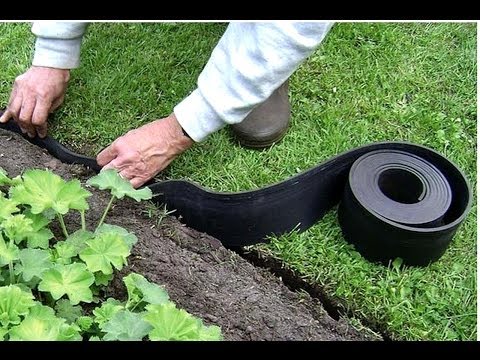 Элементы ландшафта. Как сделать газон