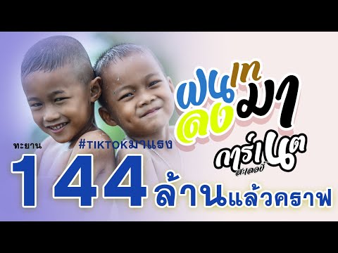 คอร์ดเพลง ฝนเทลงมา การ์เนต & การ์ฟิวส์ สะเลอปี้