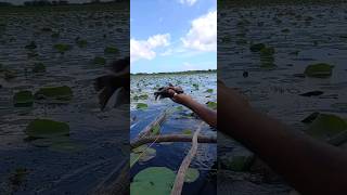 ගියපු වේගේට තෑන්කස්  කියන්නත් අමතක උනා ? fishing ceylone srilanka boat