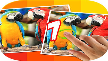 Tap 5 Differences Level 7 Walkthrough