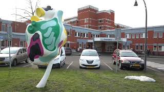 Kort Verblijf En Dagopname Lelystad