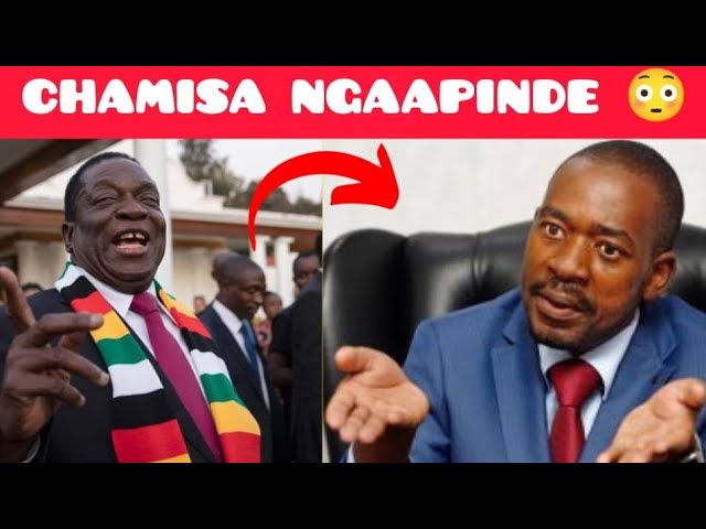 FINALLY SADC MEET NELSON CHAMISA 😳 class=