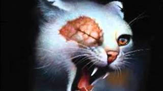 Brightheart's Dog Pack Memories *SHORT*