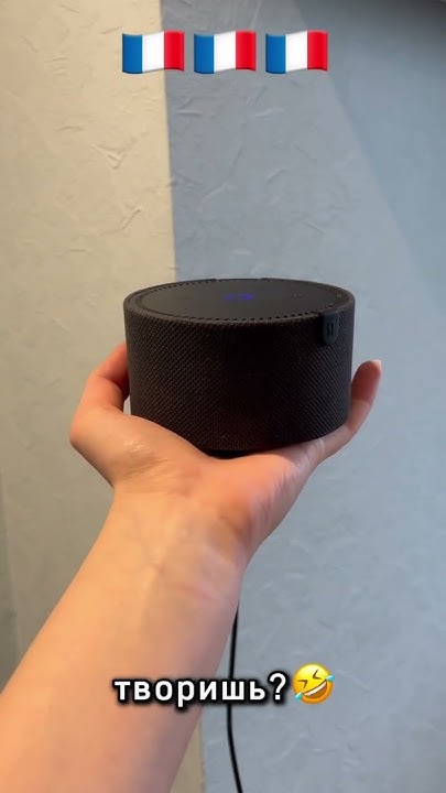 Купить умную колонку Алиса во Франции🇫🇷 можно в INST: electronics ...