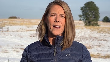 2020 Forest Action Plan Rollout