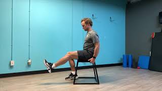 Hamstring Active Release Lacrosse Ball