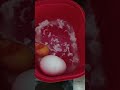 "I tried to make egg boil in kettle"