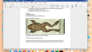 Frog Dissection Guide