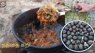 Snail Fry Nathai Varuval Snail Cooking And Eating In Village Village Cooking Channel Recipe