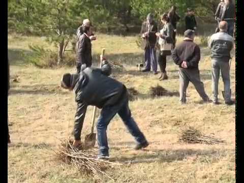 ახალციხეში \"მწვანე მომავლის\" ფარგლებში 3 000 ნერგი დაირგო