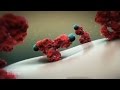 3d animation demo reel   mechanisms in medicine