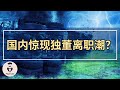 中国A股上市公司惊现独立董事离职潮？『2021年第145期』