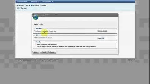 Enable DNS in WebsitePanel