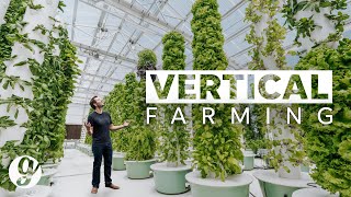 Next Gen Farming Without Soil and 90% Less Water  | GRATEFUL