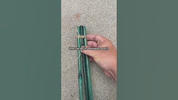 Need an easy to make trellis for your climbers? Check out @epicgardening 