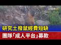 研究土撥鼠經費短缺 團隊「成人平台」募款