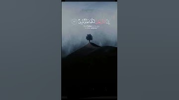 سورة الأعراف | ابو بكر الشاطري | تلاوة خاشعة وجميلة وهادئ