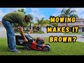 Lawn look brown after mowing try this