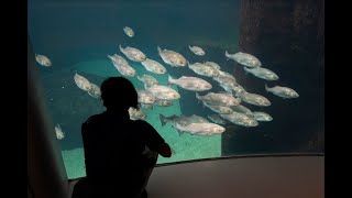Le Biodôme Ouvert Le 31 Août Après Deux Ans De Travaux