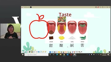 【myViewBoard How Tos】ep1 How to get started with myViewBoard Whiteboard