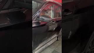 WAX Polish